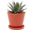 Chive Vasi per piante in ceramica Tika - Vasi carini e belli per fiori e piante da appartamento per interni ed esterni - Grandi (12,7 cm) - Arancione