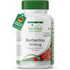 fairvital Berberina 500 mg, ALTO DOSAGGIO, Berberina HCl + Zinco, Berberis aristata, VEGANO, 90 capsule
