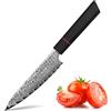 Plys Coltello da Frutta Damasco: 14 Cm, Coltello Affilato Per Sbucciare, Coltello da Cucina Multiuso in Acciaio Damasco a 67 Strati Con Anima in Acciaio Vg10 e Manico G10 Adatto Per Frutta e Verdura