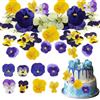YilKUliHio 36 fiori pressati commestibili misti di fiori secchi del pensiero tricolore pressati fiori pressati per decorazione di torte, cocktail, creazione di gioielli fai da te