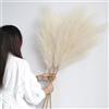YIYA Decorazione Pampas Secca Grande 6 Pcs 113cm Biancastro Pampas Erba Simulata Pampas Erba Pampa Artificiali Fiori per Soggiorno, Casa, Pavimento, Vaso, Decorazione Boemia