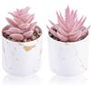 Der Rose - Set di 2 piante grasse artificiali in miniatura, piante grasse finte per accessori da scrivania per ufficio, per donne, rosa, decorazione per la casa e per toeletta