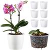 DeELF Outlet DeElf - Confezione da 6 vasi autoirriganti da 17 cm, per piante da interni, edera del diavolo dorato, viola africana, pianta ragno oceano, orchidea, colore bianco