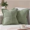 Topfinel Fodere Cuscini 50x50 Verde Salvia in Velluto a Coste, 2 Pezzi con Cerniera Invisibile, Copricuscini Decorativi per Divano, Camera da Letto, Casa