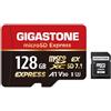 Gigastone 【Progettato per Switch 2】GIGASTONE microSDXC Express 128 GB, SD 7.1, R/W fino a 880/500 MB/s, A1 V30 U3, compatibile con Nintendo Switch 2 e fotocamere professionali, con adattatore SD.
