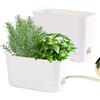 Oliz Kit di fioriere da giardino per erbe aromatiche da interni ed esterni, confezione da 4 vasi per piante da davanzale con drenaggio e vassoio, vaso da finestra