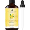 Handcraft Blends Olio essenziale di ylang ylang - 1 Fl Oz - 100% puro e naturale - Olio essenziale di alta qualità per diffusore e aromaterapia, pelle, massaggio, candele e saponi