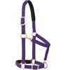 Weaver Equine Weaver Leather Cavezza Regolabile Imbottita per Mento e Gola, a Scatto, 2,5 cm, per Cavalli di Dimensioni Standard o per Cavalli da tiro Giovani, Colore Viola