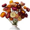 MUYAPAY 20 Pezzi Fiori Secchi Decorativi Margherita, Fiori Secchi Decorativi per Vaso Naturali Boho Realizzati, Resina, per Fai da Te Artigianato Album Ritaglio Home Decor