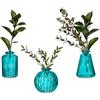 Sass & Belle Maia Gifts Turquoise Glass Bud Vasi Set