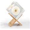 Amoroses WISH - Dente di Leone vero, conservato in cubo di resina trasparente - Fiore Soffione in confezione elegante - Idea Regalo Originale, oggetto decorativo - Esprimi un desiderio