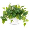 JPSOR Piante finte da interni, realistiche piante finte con vaso bianco, scindapsus artificiale Aureus Pothos per casa e ufficio decorazione del giardino