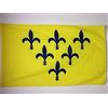 AZ FLAG Bandiera Ducato di Parma e Piacenza 1545-1731 150x90 cm Asola | Uso interno ed esterno bandiera decorativa doppie cuciture e bordi rinforzati con guaina per asta poliestere 100D