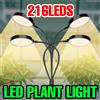 CanLing Scatola di crescita interna a spettro completo per piante a LED con temporizzazione dimmerabile Accensione/spegnimento automatico USB 5V Lampade per coltivazione di verdure in vaso