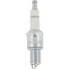 Champion OE187/T10 Candele di Accensione a Iridio 9701 RA7WHPB