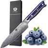 WILDMOK coltello da cucina, 12.9cm Damascus Giappone VG 10 coltello da cucina in acciaio, tagliente coltello cuoco da cucina, manico in resina colorata ergonomico, confezione regalo di lusso