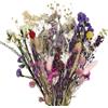 CEWUDA Purple Pink Mazzi Fiori Secchi Decorativi Naturali per Vaso Miste Bouquet Lavanda Nontiscordardime Fiori di Gypsophila Coda di Coniglio per Bomboniere Matrimonio Decorazione Casa Fai da Te