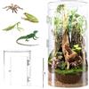 Biigdan Terrario Cilindrico, 360° Terrarium Acrilico - Teca per Rettili Trasparente, Vivarium, Terrario Rettili per ragni, lumache, mantidi, lucertole, raganelle, paguri, coleotteri