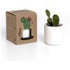 Resetea Mrs. Cactus - Kit Coltivazione Cactus con Vaso in Terracotta Artigianale | Facile da Curare | Purifica l'Aria | Idea Regalo Decorativa e Originale | Resetea