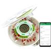 DoseControl Demenza scatola per farmaci per assistenti, portapillole elettronico automatico con promemoria, bloccabile, grande, 7 giorni, 14 giorni, settimana, mese, 9 allarmi, con notifiche, DoseControl