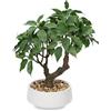 Oairse Pianta artificiale per bonsai in vaso di ceramica, albero di bonsai artificiale, decorazione in vaso per soggiorno, camera da letto, bagno, davanzale