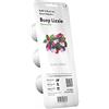Click and Grow - Smart Garden Refill 3-pack - Busy Lizzie