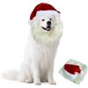 BSITSSS Moda CappelloNatale Cane, Costume NataleCane Parrucca da Leone, Comico Costume CAneNatale, Costume Natale Gatto, Vestito NAtale Cane perCane Gatto