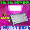200W LED Coltiva La Luce Spettro Completo Phyto Lampada Per Interni Frutta Verdura Coltura Idroponica Pianta di Riempimento illuminazione Impermeabile