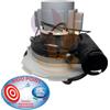 Rigo motore assemblato per TMR80/6 Art. AMT80