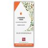 Fitomedical Lavanda Vera Conv Olio Ess 10m