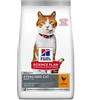 HILL'S Science Plan Young Adult Sterilised Cat Cibo secco per gatti con pollo 10 kg