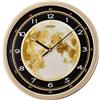 Seiko Clocks Orologio da parete QXA831G
