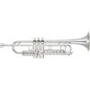 Yamaha YTR-8345GS Gold Brass Silver