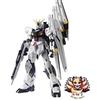 Bandai NUOVO BANDAI SPIRITS MG Mobile Suit Gundam: Char's Counterattack RX-93 V Gundam