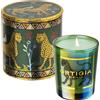Ortigia Sicilia Candela Peperoncino Verde Piccola