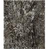 Bertoni S.r.l. Carta Plasmabile Roccia Innevata 60x30 cm