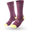 FIZIK Calzini ciclismo FIZIK TEAM EDITION 2026