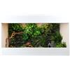 Lucky Reptile Iso Tarrium Basic 100 x 50 x 60 cm