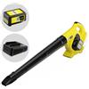 Karcher LBL 4 - Soffiatore a batteria per foglie - 36V 2.5Ah