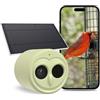 WingHome Hibird - Telecamera per bird watching 5G, intelligenza artificiale intelligente per identificare e catturare automaticamente oltre 10000 specie di uccelli, IP66, mini telecamera wireless con pannello
