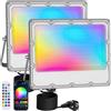 MEEKBOS 2 Pezzi Faretto LED RGB Esterno 100W, Faro LED RGB Con APP Bluetooth e 2.4G Telecomando,IP66 Impermeabile Dimmerabile Proiettore per Giardino,Pasqua,Partito,Halloween,10000LM