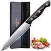 Purple Dragon Coltello Universale in Acciaio Damasco 13cm Piccolo Coltello da Cucina con Nucleo VG10 Coltello da Cucina Versatile per Verdure Frutta e Carne Ideale per Taglio Preciso Regalo per Uomini