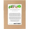 Magic Garden Seeds Piccola selezione di verdure dall'Asia - set di semi con 4 verdure asiatiche tipiche per wok e vaporiera