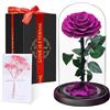 Touloube Festa della Mamma Rosa Stabilizzata Vera Regalo Donna in Cupola Vetro - Regalo di San Valentino, Donna Regalo Compleanno, Rosa Eterna Idee Regalo Mamma Moglie Fidanzata Nonna, per Anniversario