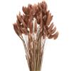 QUARKZMAN 120pz Coda di Coniglio Naturale Fiori Secchi 43cm Mini Erba di Pampa per Decorazioni Floreali Matrimonio Natale, Marrone Scuro Rosso