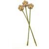 your castle Fiori decorativi in feltro fatti a mano per creazioni individuali, regalo sostenibile, commercio equo e solidale, fiori artificiali realistici, confezione da 3, con fiori beige