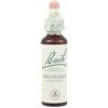 Schwabe Pharma - Fiori Di Bach Originali Mustard Gocce Orali Omeopatiche Confezione 20 Ml