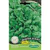 Germisem Winter Giant Semi di Spinaci 15 g
