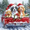 QENSPE Natale Diamond Painting Kit Completo, Cani Pittura Diamante per Adulti 5D Rotondo Diamantini Strass Mosaico Art Artigianato Decorazioni da Parete - 30x30cm