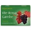 Erbamea Vite Rossa Gambe Integratore per Circolazione 30 Compresse